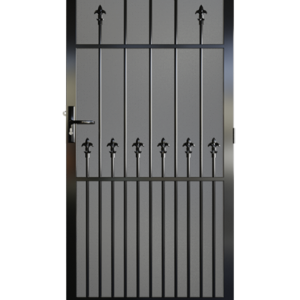 Carlton Steel Security Door